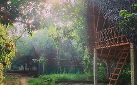 Art Forest