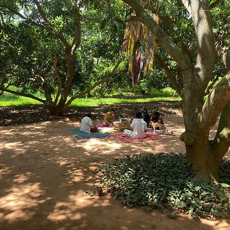 Art Forest ポンディシェリ エクステリア 写真