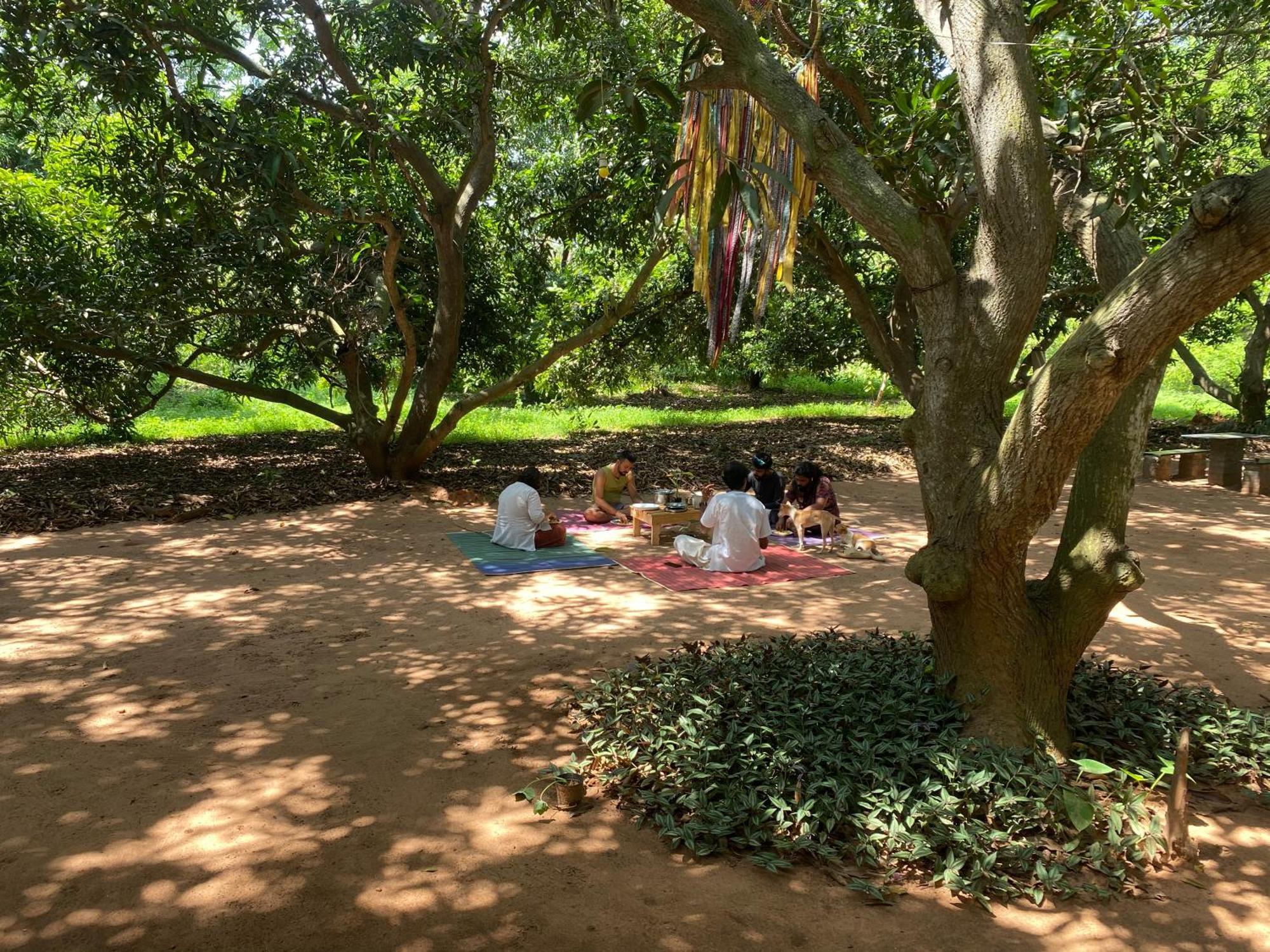 Art Forest ポンディシェリ エクステリア 写真