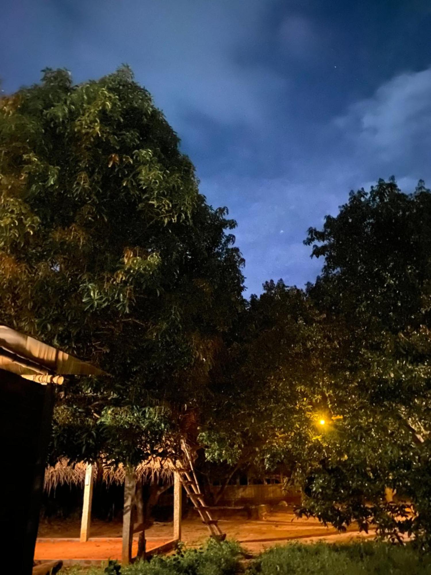 Art Forest ポンディシェリ エクステリア 写真